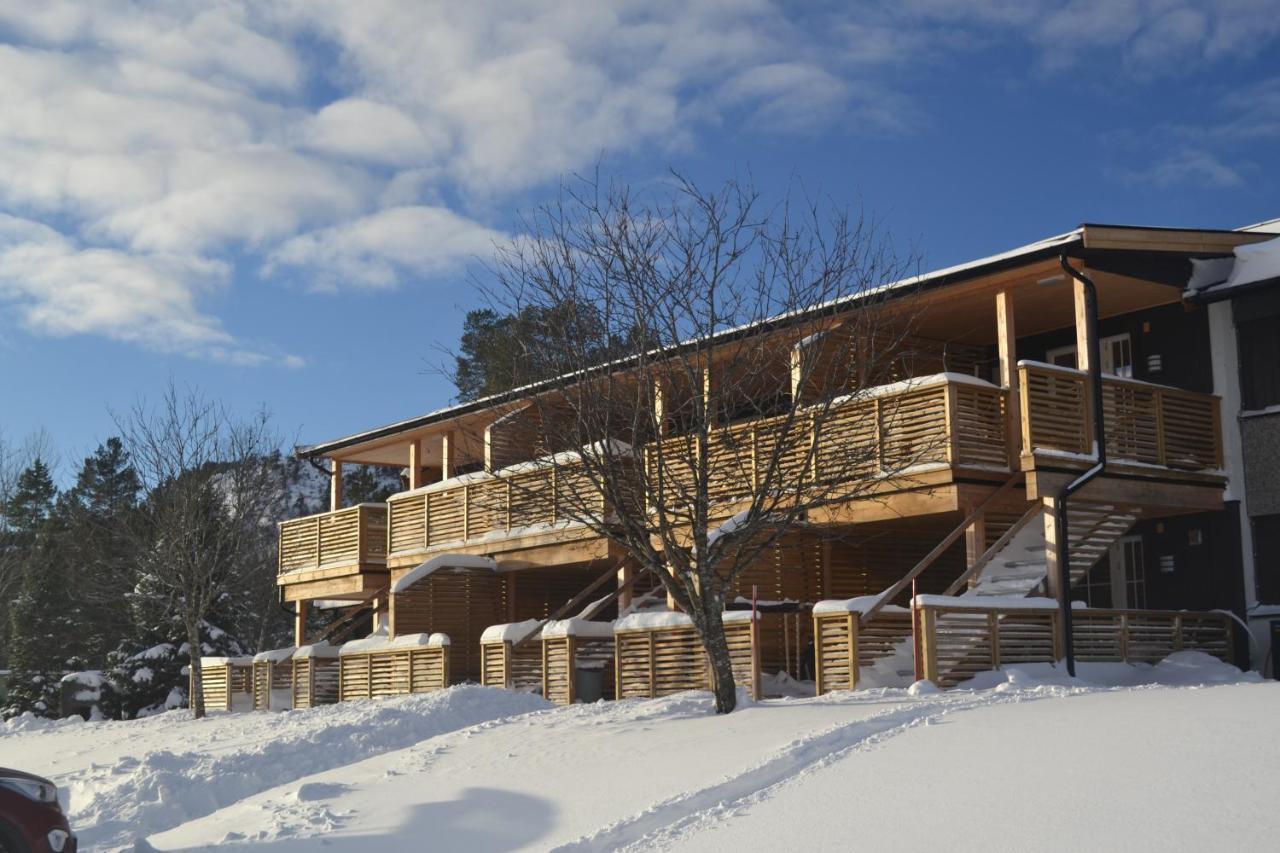 Ski Lodge Gautefall Appartement