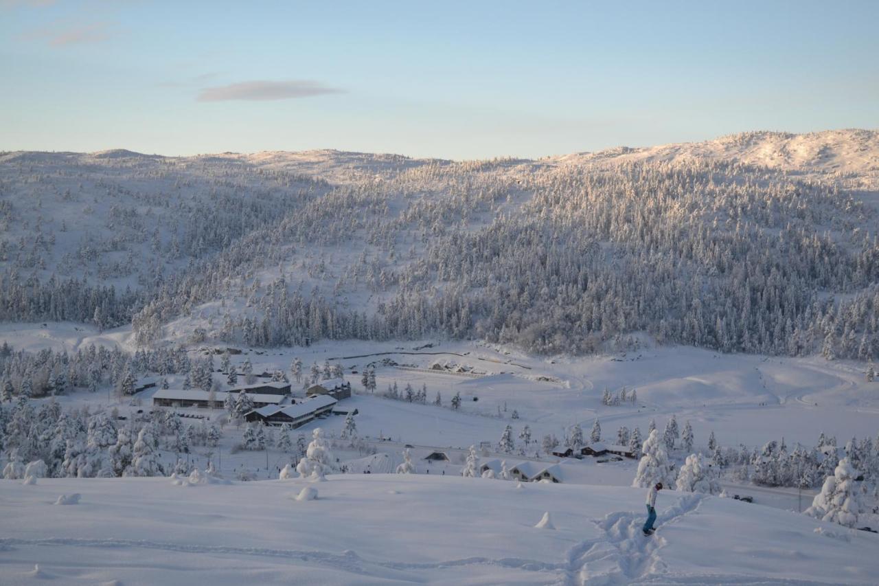 Ski Lodge Gautefall Apartment *