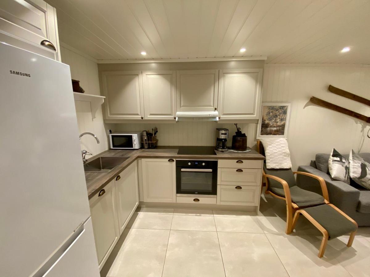 Apartment Ski Lodge Gautefall