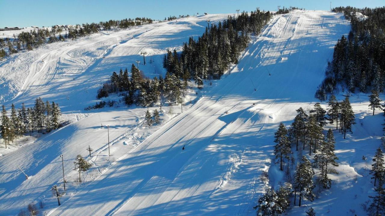 Apartment Ski Lodge Gautefall
